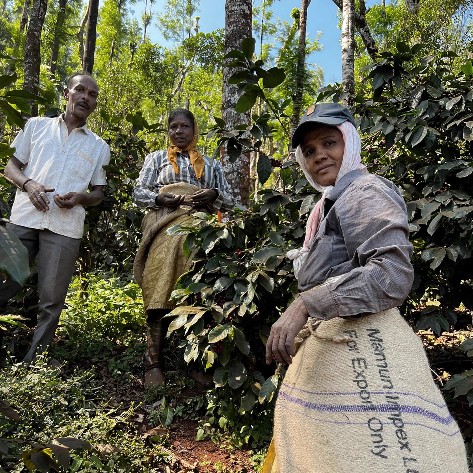 Origin Coffee Offering
